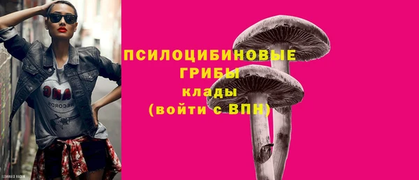 хмурый Вяземский